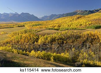 Stock Photo - autumn in ranchlands 
of rocky mountain 
foothills near 
waterton lakes. 
fotosearch - search 
stock photos, 
pictures, images, 
and photo clipart