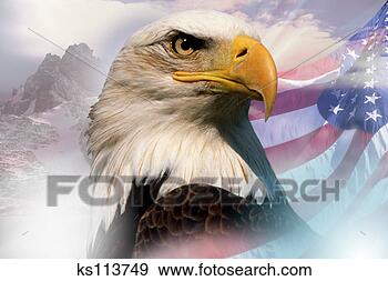 bald eagle and american flag wallpaper