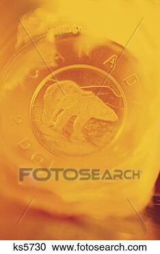 Stock Photography - canadian coin. 
fotosearch - search 
stock photos, 
pictures, images, 
and photo clipart