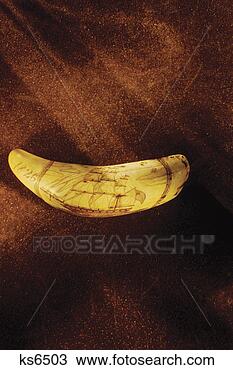 Stock Photo - ivory tusk. fotosearch 
- search stock 
photos, pictures, 
images, and photo 
clipart