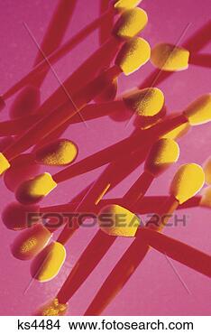 Stock Photo - makeup brushes. 
fotosearch - search 
stock photos, 
pictures, images, 
and photo clipart