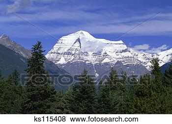 Stock Photo - mount robson (highest 
peak in canadian 
rockies),  mt 
robson. fotosearch 
- search stock 
photos, pictures, 
images, and photo 
clipart