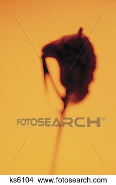 Stock Photo - stick horse. fotosearch 
- search stock 
photos, pictures, 
images, and photo 
clipart