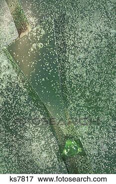 Picture - stone, abstract 
shapes, powdery 
material. fotosearch 
- search stock 
photos, pictures, 
images, and photo 
clipart