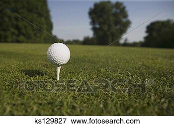 Picture - golf tee and ball 
at golf course. 
fotosearch - search 
stock photos, 
pictures, images, 
and photo clipart