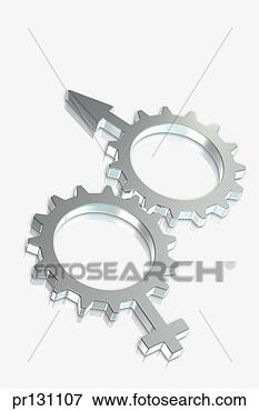 Picture - male and female 
symbol gears. 
fotosearch - search 
stock photos, 
pictures, images, 
and photo clipart