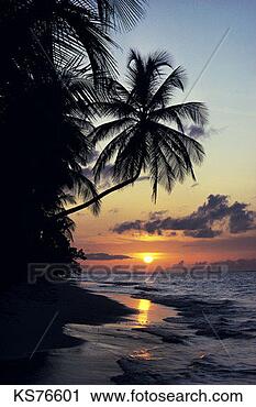 Stock Photography - vacations - tropical 
2, beach, calm, 
caribbean, horizon, 
nature. fotosearch 
- search stock 
photos, pictures, 
images, and photo 
clipart