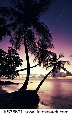 Stock Photography - vacations - tropical 
2, beach, beauty, 
calm, caribbean, 
forest. fotosearch 
- search stock 
photos, pictures, 
images, and photo 
clipart