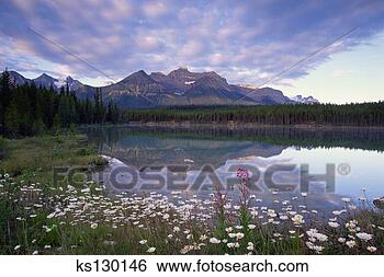 Banco de Imagem - banff,  nacional, 
 parque,  alberta, 
 canadá. fotosearch 
- busca de fotos, 
imagens e clipart