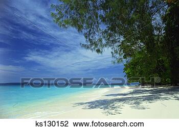 Banco de Imagem - costa,  branca, 
 areia,  praia. 
fotosearch - busca 
de fotos, imagens 
e clipart
