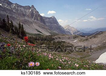 Stock Image - landscape of mountains 
and field. fotosearch 
- search stock 
photos, pictures, 
images, and photo 
clipart