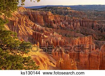 Stock Photo - 'queen's garden' 
hoodoos at sunrise 
bryce canyon national 
park, utah. fotosearch 
- search stock 
photos, pictures, 
images, and photo 
clipart