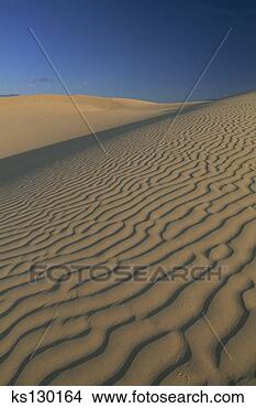 Stock Photo - sand dunes at 
mesquite flat 
death valley national 
park, california. 
fotosearch - search 
stock photos, 
pictures, images, 
and photo clipart