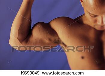 Stock Photograph - muscular man. 
fotosearch - search 
stock photos, 
pictures, images, 
and photo clipart