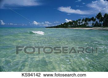 Stock Photo - andros, bahamas. 
fotosearch - search 
stock photos, 
pictures, images, 
and photo clipart