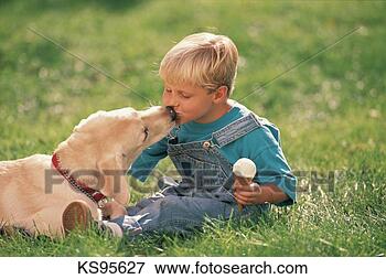 Bild - pojke, äta, glass, 
kon, hund. fotosearch 
- sök stock photos, 
bilder, väggmålningar,foton 
och photo clipart