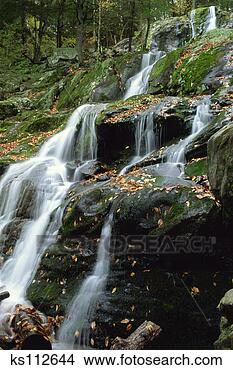 Stock Photo - dark hollow falls, 
shanandoah nat'l 
park, va, usa. 
fotosearch - search 
stock photos, 
pictures, images, 
and photo clipart
