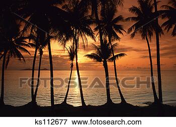 Picture - tropical island 
sunset (truk-micronesia)pacific. 
fotosearch - search 
stock photos, 
pictures, images, 
and photo clipart