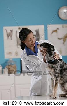 Stock Photography - vet examining 
dog. fotosearch 
- search stock 
photos, pictures, 
images, and photo 
clipart