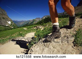 Stock Photo - hiking, logan 
pass, glacier 
national park, 
montana, usa. 
fotosearch - search 
stock photos, 
pictures, images, 
and photo clipart