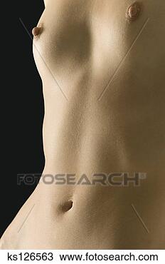 Banco de Imagem - torso,  mulher. 
fotosearch - busca 
de fotos, imagens 
e clipart