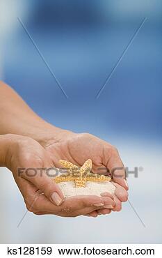 Arquivo Fotográficos - mulher,  mãos, 
 areia,  starfish. 
fotosearch - busca 
de fotos, imagens 
e clipart