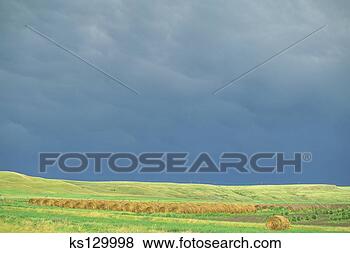 Banco de Imagem - distante,   tempestade, 
  frente,   feno, 
  fardos,   sulista. 
fotosearch - busca 
de fotos, imagens 
e clipart
