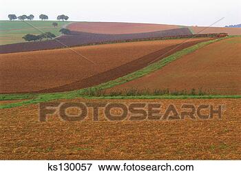 Picture - neat, well-manicured 
farm fields in 
northern bavaria, 
germany. fotosearch 
- search stock 
photos, pictures, 
images, and photo 
clipart