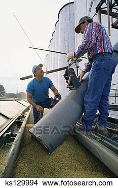 Banco de Imagem - trabalhadores, 
 semente,  carregador. 
fotosearch - busca 
de fotos, imagens 
e clipart