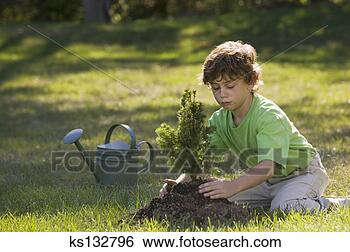 Stock Photo - boy planting a 
tree. fotosearch 
- search stock 
photos, pictures, 
images, and photo 
clipart