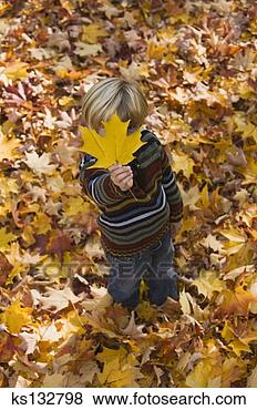 Banco de Imagem - menino,  ficar, 
 queda,  foliage. 
fotosearch - busca 
de fotos, imagens 
e clipart
