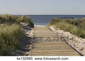 Arquivo de Fotografias - boardwalk. fotosearch 
- busca de fotos, 
imagens e clipart