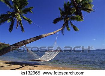 Banco de Imagem - rede,  tropicais, 
 praia. fotosearch 
- busca de fotos, 
imagens e clipart