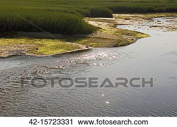 Stock Photography - body of water 
in tidal flats. 
fotosearch - search 
stock photos, 
pictures, images, 
and photo clipart