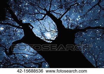 Stock Photo - tree silhouette 
against starry 
night sky. fotosearch 
- search stock 
photos, pictures, 
images, and photo 
clipart