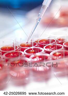 Stock Image - pipetting specimens 
into stem cell 
cultures. fotosearch 
- search stock 
photos, pictures, 
wall murals, images, 
and photo clipart