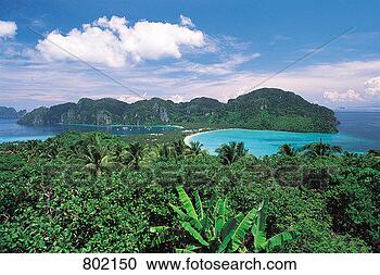 Stock Photography - koh phi phi, thailand. 
fotosearch - search 
stock photos, 
pictures, images, 
and photo clipart