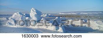 Stock Photo - distant emperor 
penguins on dawson 
lambton glacier 
in antarctica. 
fotosearch - search 
stock photos, 
pictures, images, 
and photo clipart