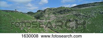 Stock Photo - limestone valley, 
malham, yorkshire 
dales national 
park, england, 
uk. fotosearch 
- search stock 
photos, pictures, 
images, and photo 
clipart