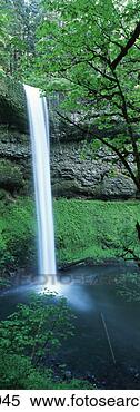 Stock Image - silver falls state 
park, silver falls, 
oregon, usa. fotosearch 
- search stock 
photos, pictures, 
images, and photo 
clipart