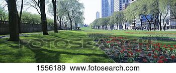 Stock Photograph - grant park, chicago, 
illinois, usa. 
fotosearch - search 
stock photos, 
pictures, images, 
and photo clipart