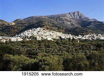 Stock Image - filoti in olive 
groves, tragea, 
naxos, cyclades, 
greece. fotosearch 
- search stock 
photos, pictures, 
images, and photo 
clipart