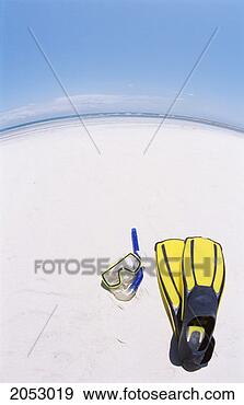 Stock Photograph - fish eye lens 
shot of a scuba 
mask and swimming 
flippers on a 
beach. fotosearch 
- search stock 
photos, pictures, 
images, and photo 
clipart
