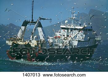 Stock Photo - fishing trawler 
followed by a 
large flock of 
seagulls,  st 
kilda. fotosearch 
- search stock 
photos, pictures, 
images, and photo 
clipart
