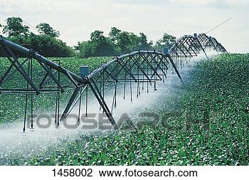 Stock Photo - irrigation equipment 
spraying crops. 
fotosearch - search 
stock photos, 
pictures, images, 
and photo clipart