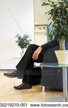 Stock Photography - businessman seated 
in office by pot 
plant, low section. 
fotosearch - search 
stock photos, 
pictures, images, 
and photo clipart