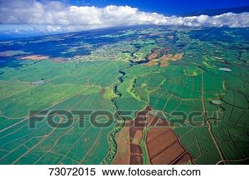 Stock Image - 'aerial view of 
sugar fields, 
maui, hawaii'. 
fotosearch - search 
stock photos, 
pictures, images, 
and photo clipart