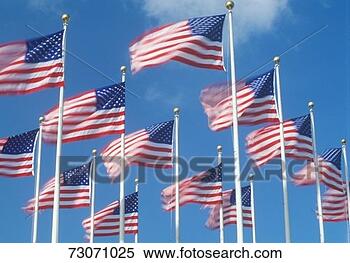 Stock Image - 'american flags 
flying in wind, 
miami, florida'. 
fotosearch - search 
stock photos, 
pictures, images, 
and photo clipart