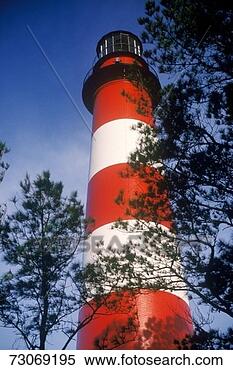 Stock Image - 'assateague lighthouse 
at assateague 
wildlife national 
seashore, va'. 
fotosearch - search 
stock photos, 
pictures, images, 
and photo clipart