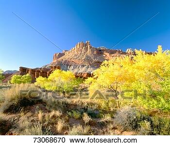 Stock Photography - 'autumn, capitol 
reef national 
park, southern 
utah'. fotosearch 
- search stock 
photos, pictures, 
images, and photo 
clipart